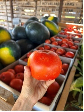 Slicer Tomatoes - 1/2 Bushel