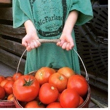 Slicer Tomatoes - 1/2 Bushel