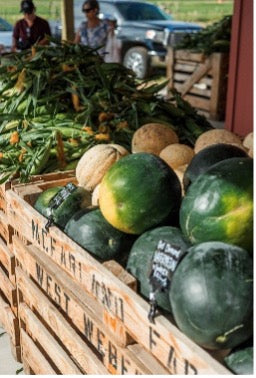 Black Diamond Watermelon