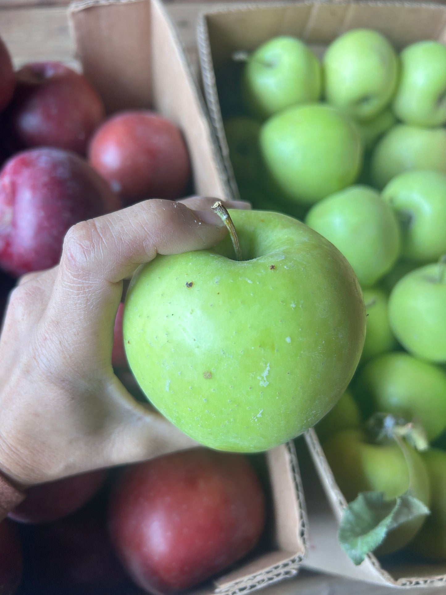 Apples - pound